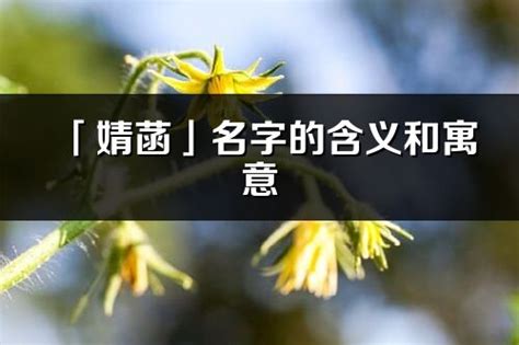 菡名字意思